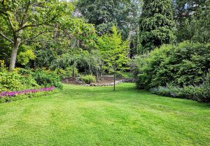 Optimiser l'expérience du jardin à Beaumont-Hamel